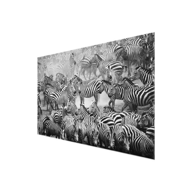 Glasschilderijen Zebra herd II