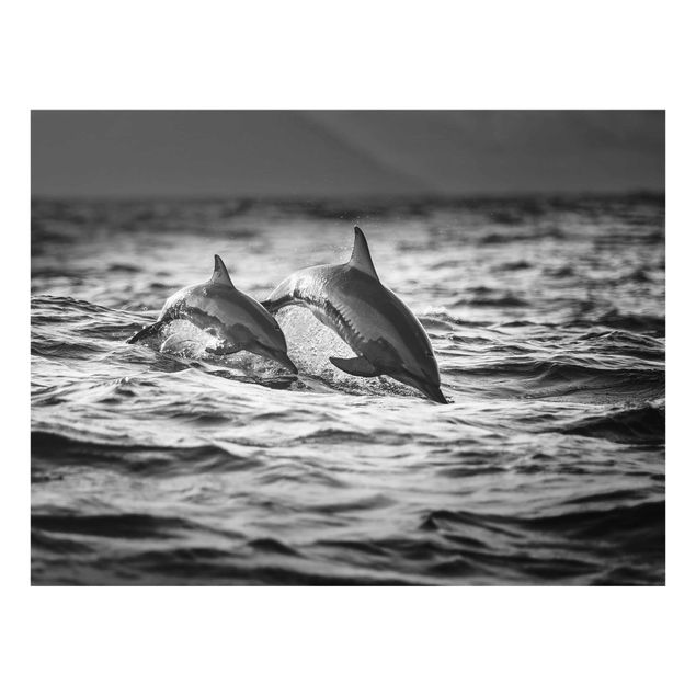 Glasschilderijen Two Jumping Dolphins