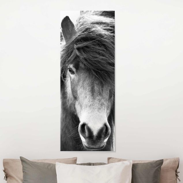 Glas Magnetboard Icelandic Horse In Black And White