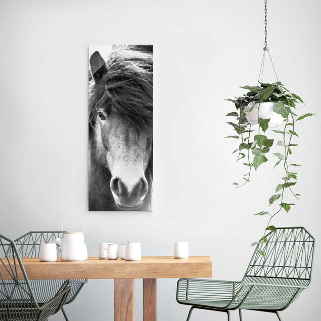 Glasschilderijen Icelandic Horse In Black And White