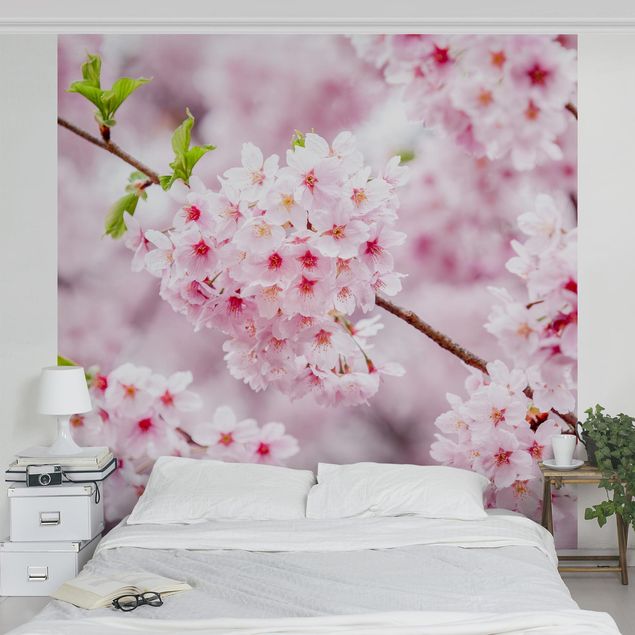 Fotobehang Japanese Cherry Blossoms
