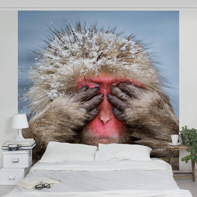 Fotobehang Japanese Macaque