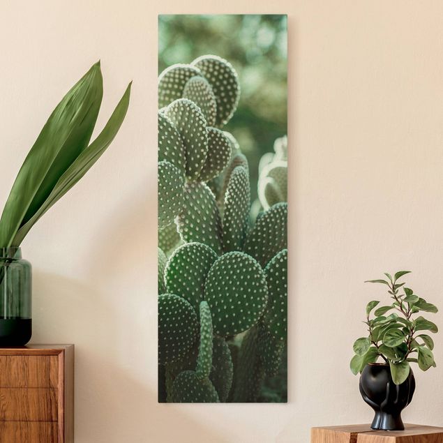 Natuurlijk canvas schilderijen Cacti
