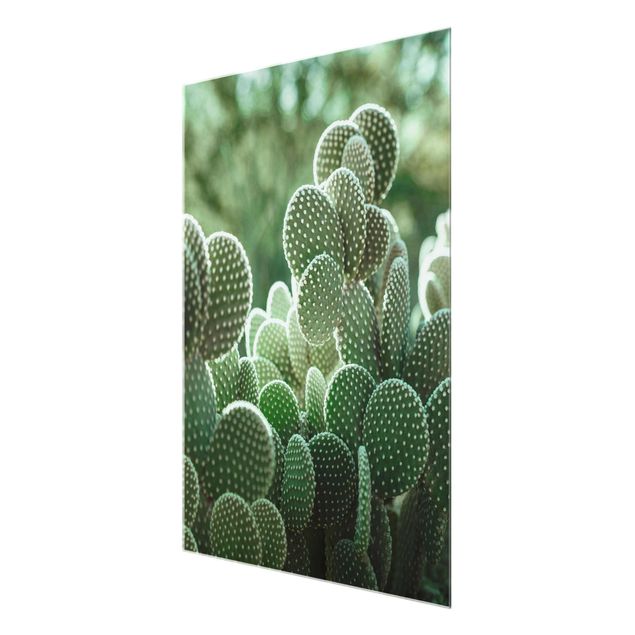 Glasschilderijen Cacti