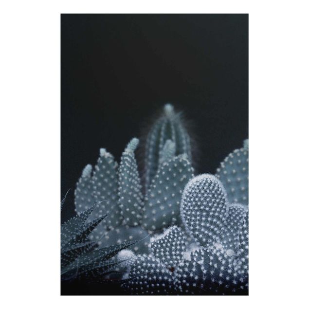 Glasschilderijen Familiy Of Cacti At Night