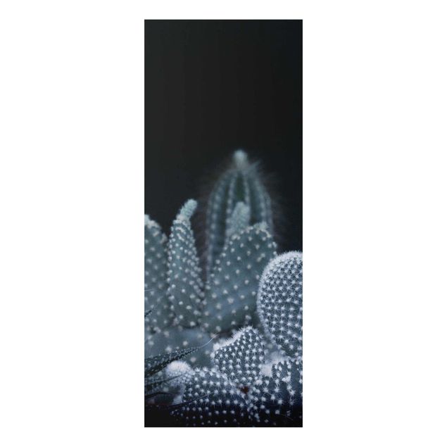 Glasschilderijen Familiy Of Cacti At Night