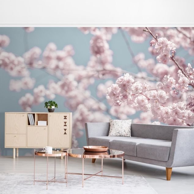 Fotobehang Cherry Blossom Party