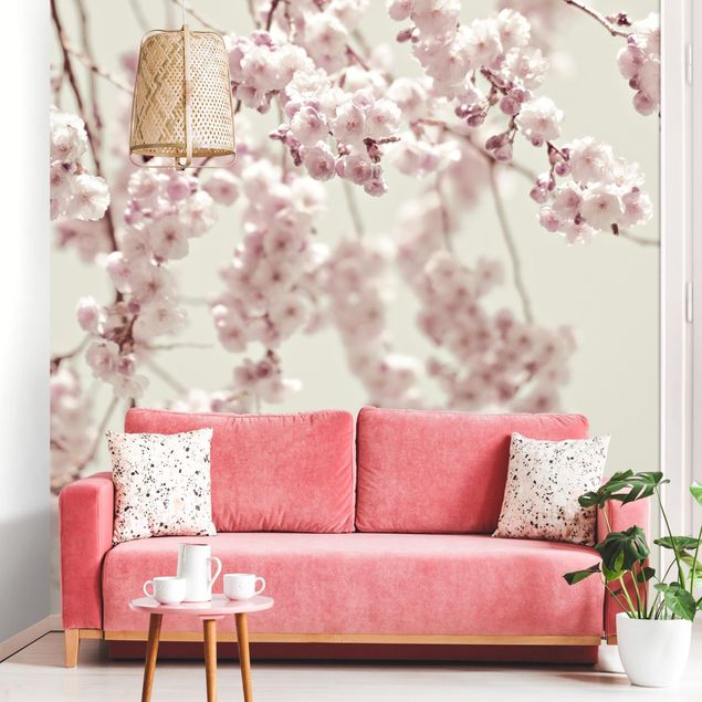 Fotobehang Dancing Cherry Blossoms