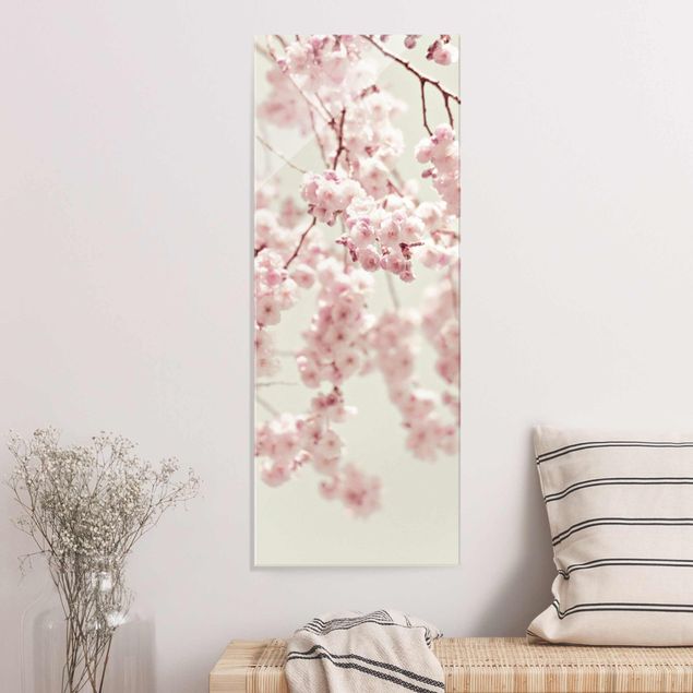 Glas Magnettafel Dancing Cherry Blossoms