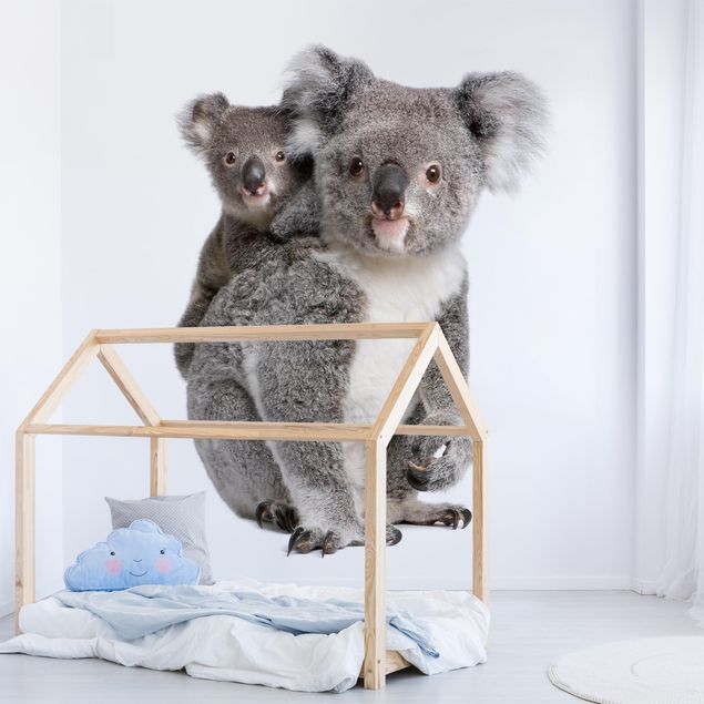 Fotobehang Koala Bears