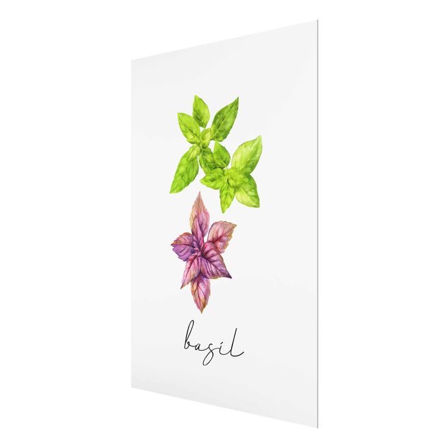 Glasschilderijen Herbs Illustration Basil