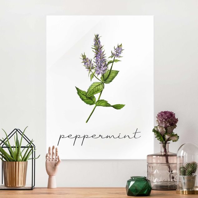 Glas Magnetboard Herbs Illustration Pepper Mint