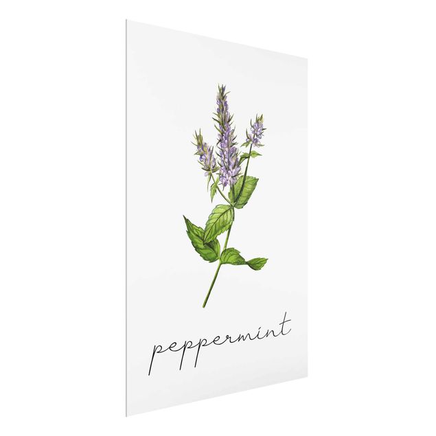 Glasschilderijen Herbs Illustration Pepper Mint