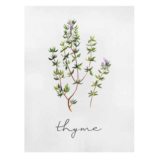 Canvas schilderijen Herbs Illustration Thyme