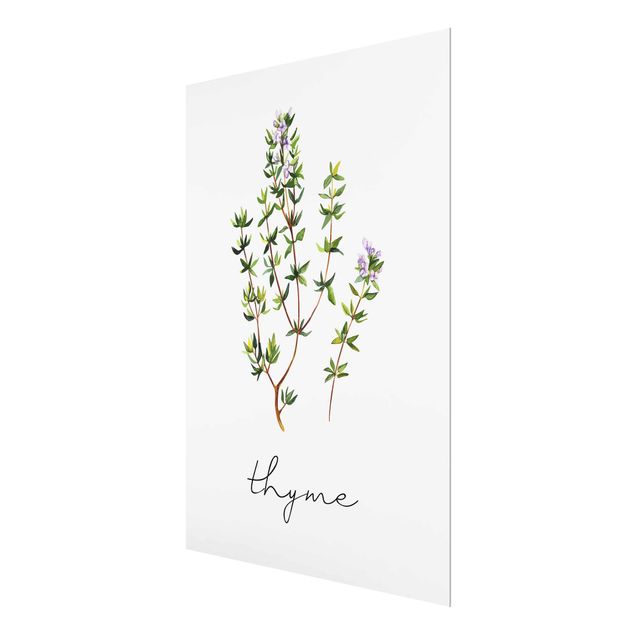 Glasschilderijen Herbs Illustration Thyme