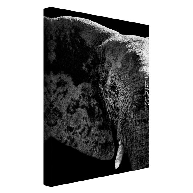 Canvas schilderijen African Elephant black and white