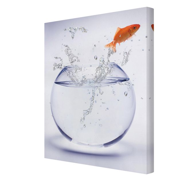 Canvas schilderijen Flying Goldfish