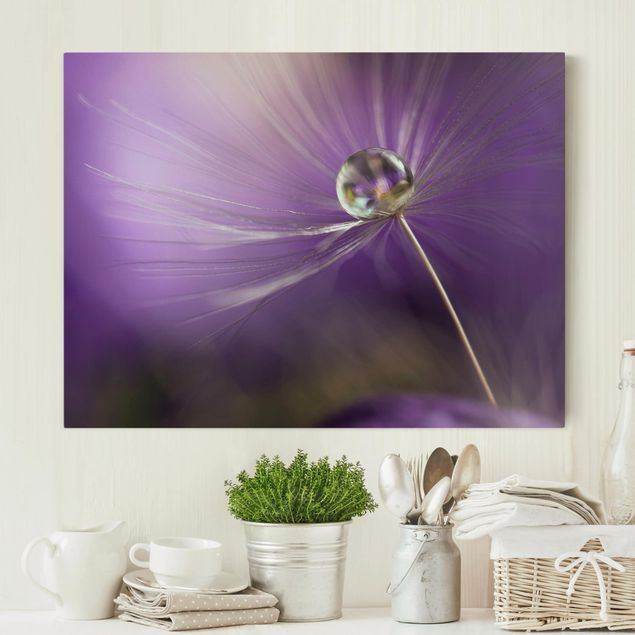 Canvas schilderijen Dandelion In Violet
