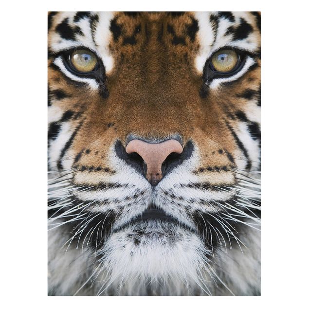 Canvas schilderijen Tiger Eyes