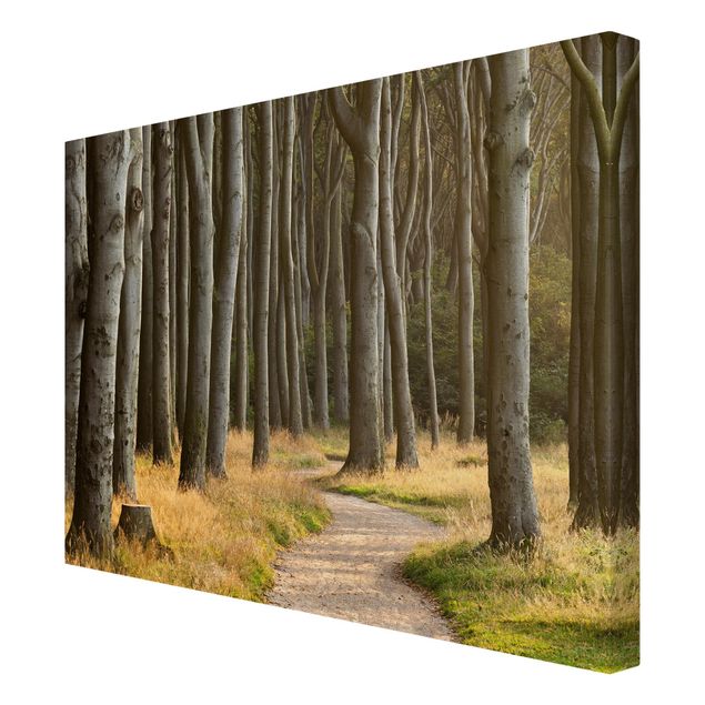 Canvas schilderijen Forest Road In Northern Germany