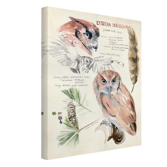 Canvas schilderijen Wilderness Journal - Owl