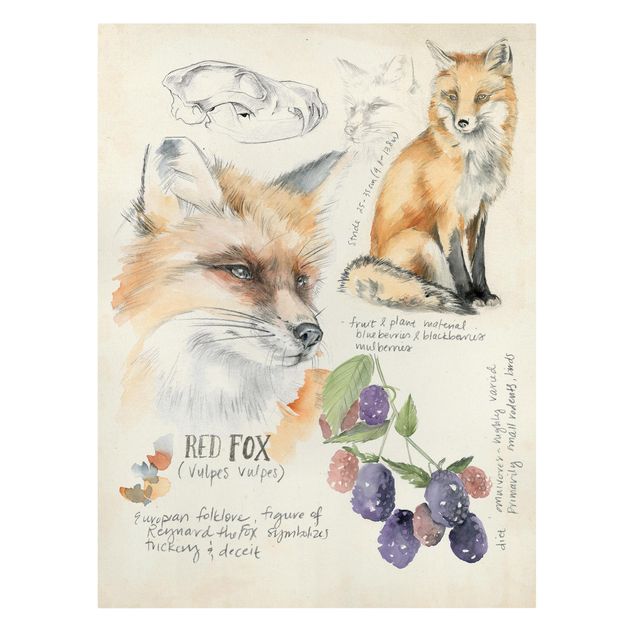 Canvas schilderijen Wilderness Journal - Fox