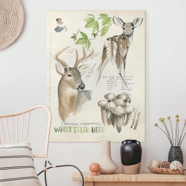 Canvas schilderijen Wilderness Journal - Deer