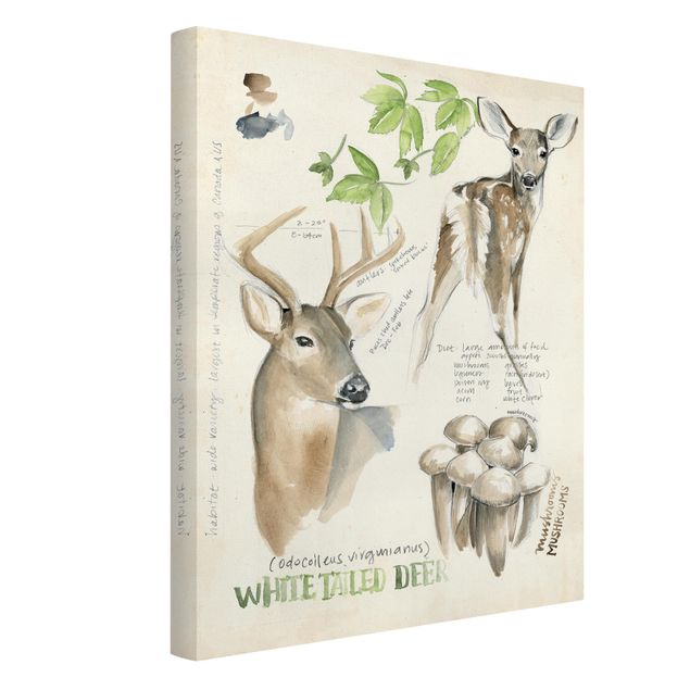 Canvas schilderijen Wilderness Journal - Deer