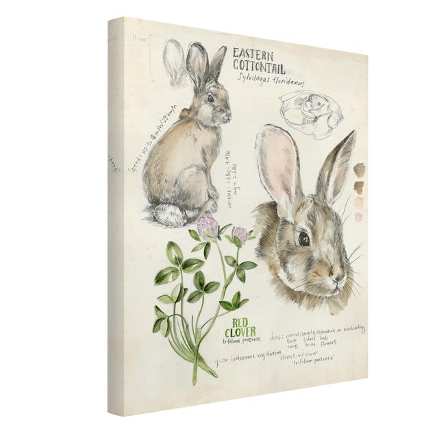 Canvas schilderijen Wilderness Journal - Rabbit
