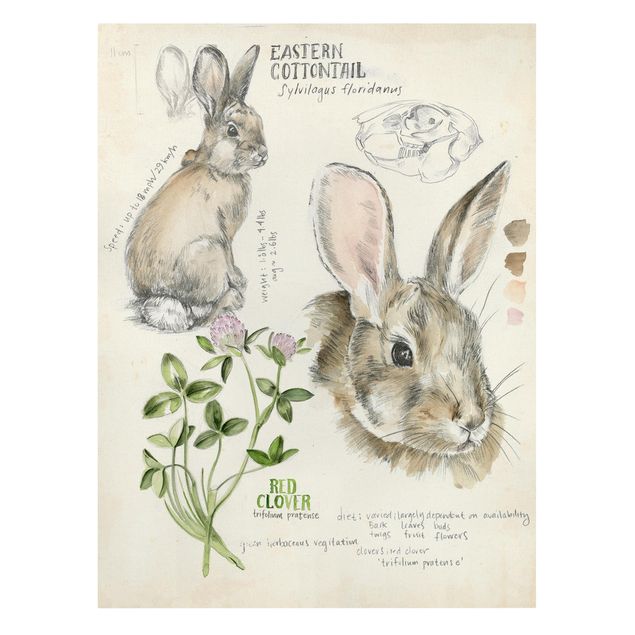 Canvas schilderijen Wilderness Journal - Rabbit