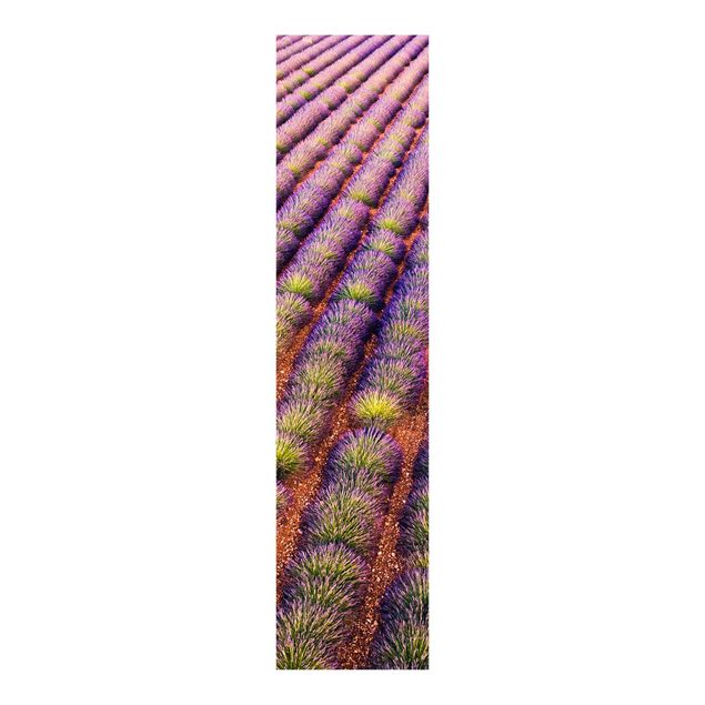 Schuifgordijnen Picturesque Lavender Field