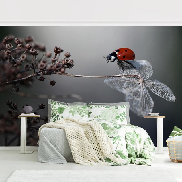 Fotobehang Ladybird On Hydrangea