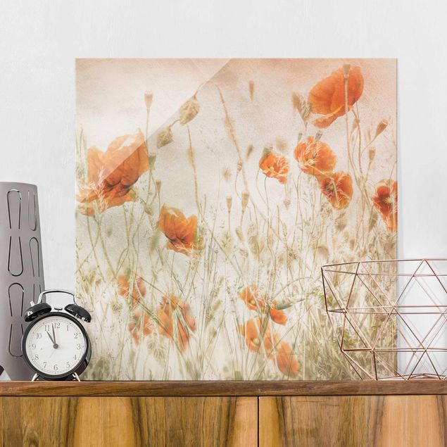 Magnettafel Glas Poppy Flowers And Grasses In A Field