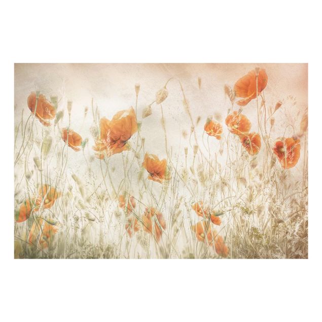 Glasschilderijen Poppy Flowers And Grasses In A Field