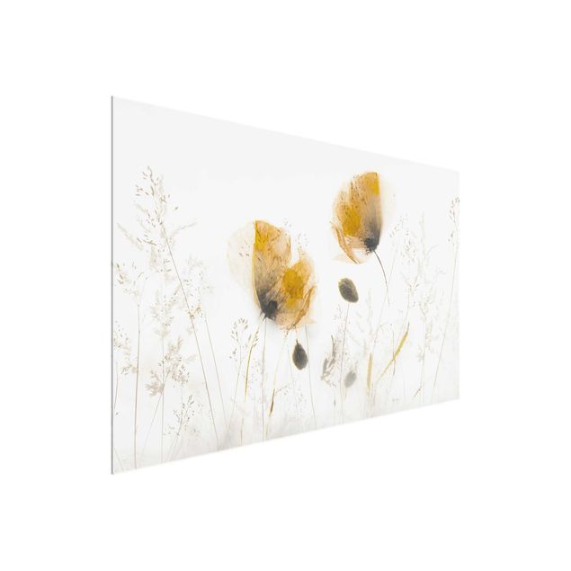 Glasschilderijen Poppy Flowers And Delicate Grasses In Soft Fog