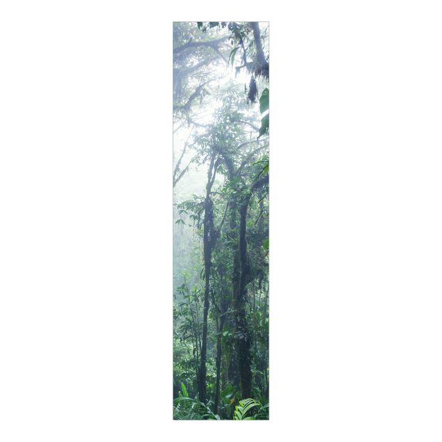 Schuifgordijnen Monteverde Cloud Forest