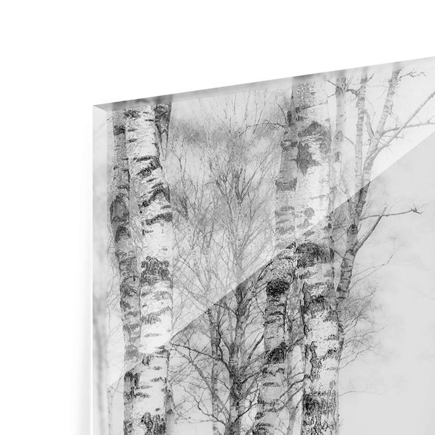 Glasschilderijen Mystic Birch Forest Black And White