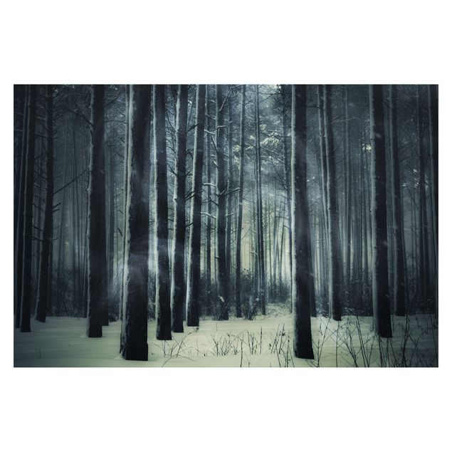Fotobehang Mystical Winter Forest