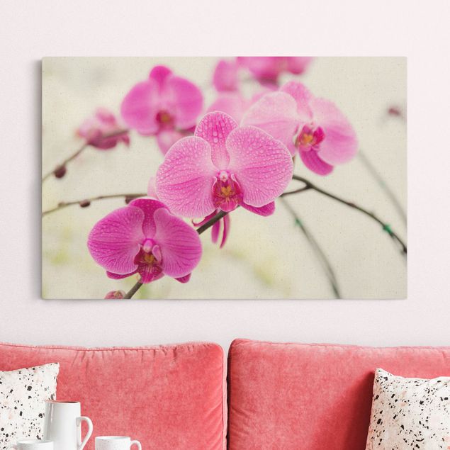 Natuurlijk canvas schilderijen Close-Up Orchid