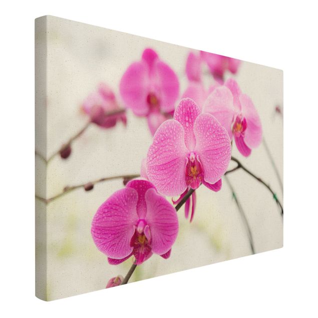 Natuurlijk canvas schilderijen Close-Up Orchid