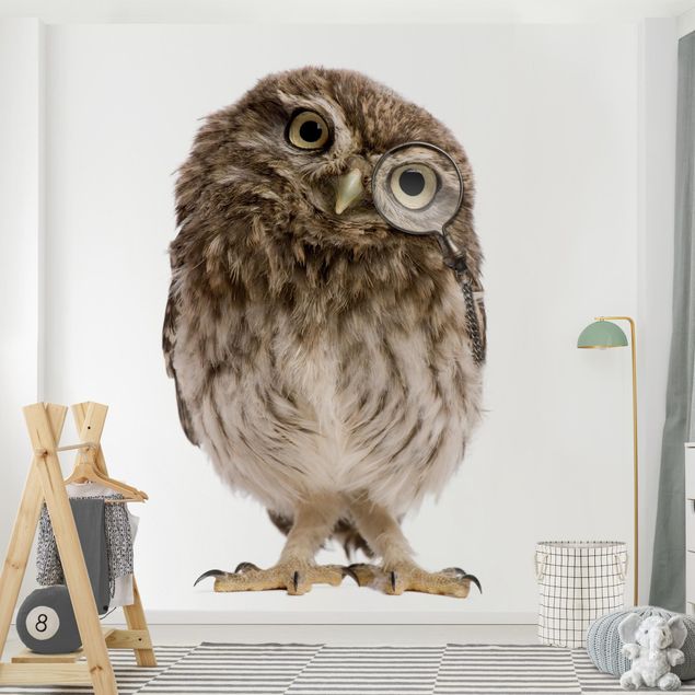 Fotobehang Curious Owl