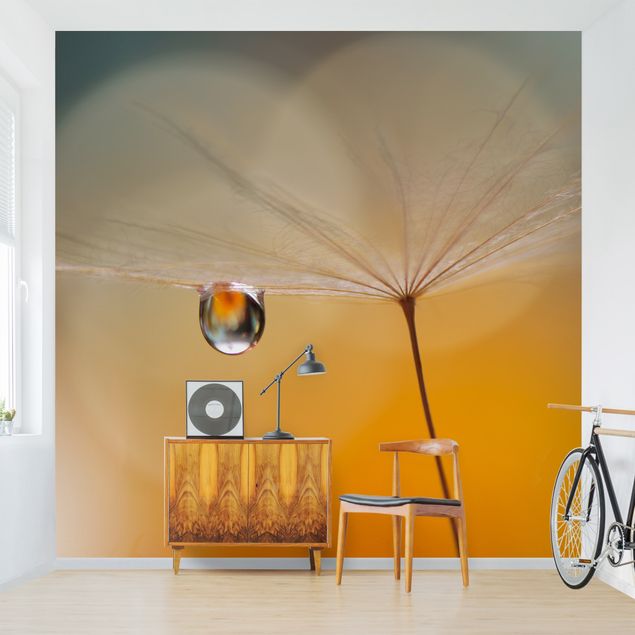 Fotobehang Dandelion In Orange