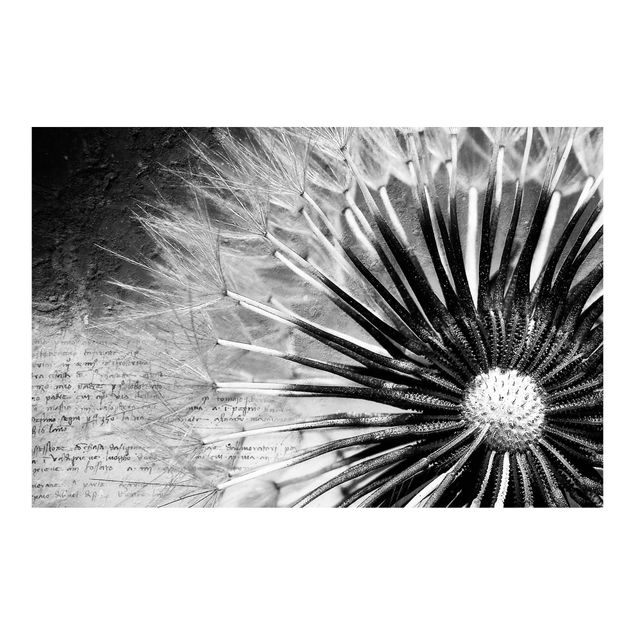 Fotobehang Dandelion Black & White