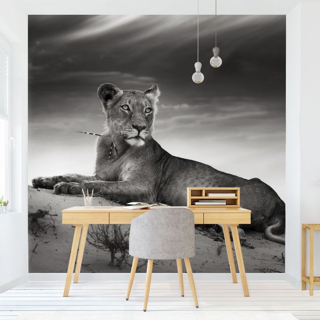 Fotobehang Resting Lion