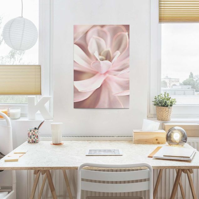 Glasschilderijen Light Pink Succulent Flower