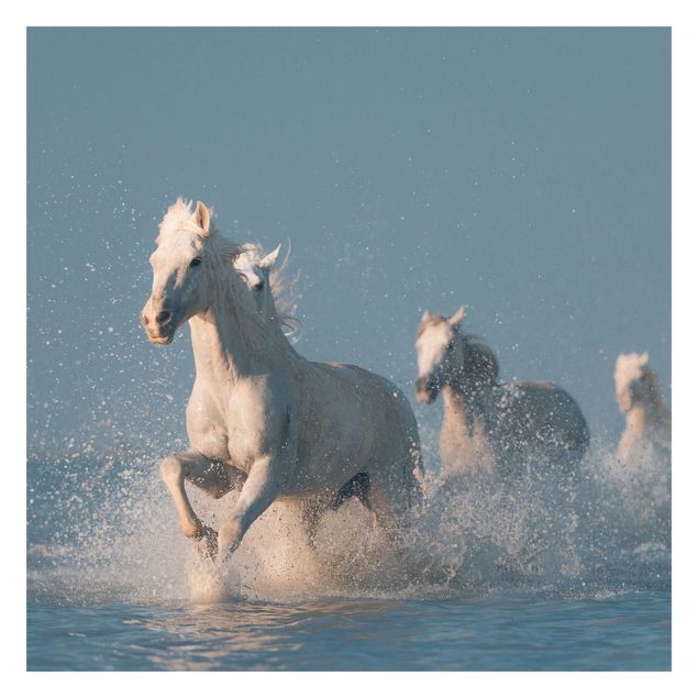 Fotobehang Herd Of White Horses