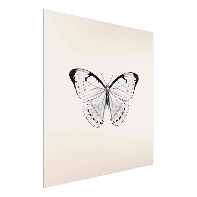 Glasschilderijen Butterfly On Beige