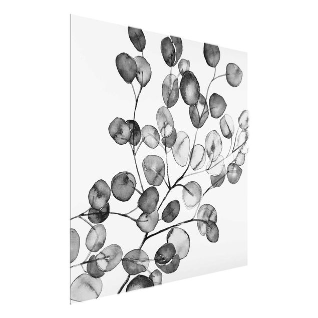 Glasschilderijen Black And White Eucalyptus Twig Watercolour