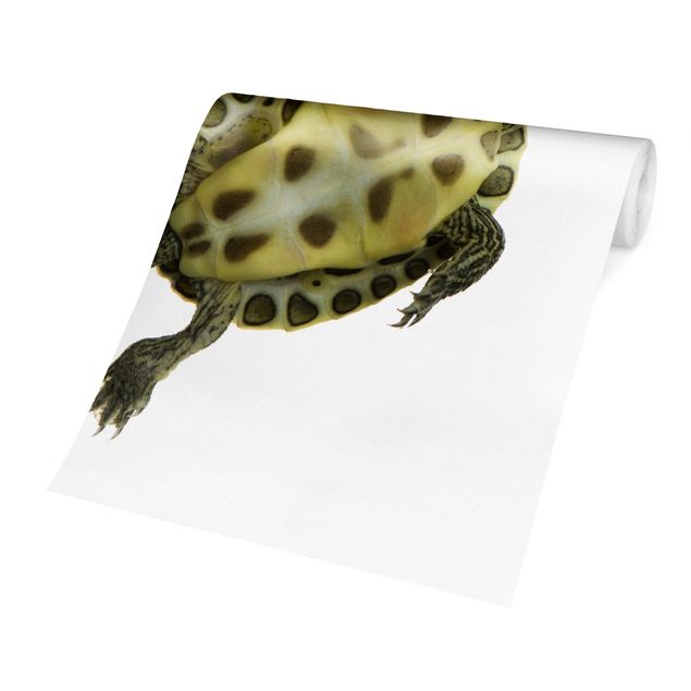 Fotobehang Swimmming Turtle