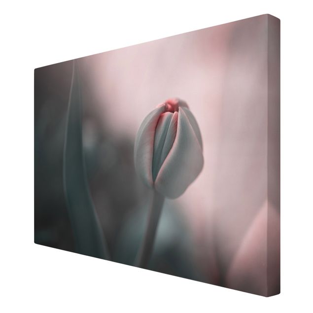 Canvas schilderijen - Sensual Tulip